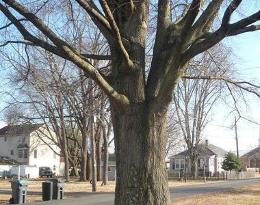 104 Greenway Street - Photo Thumbnail 8
