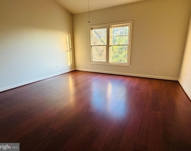 25352 Herring Creek Drive - Photo Thumbnail 14