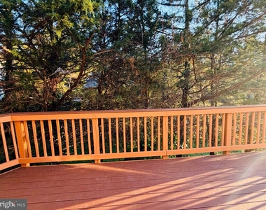 25352 Herring Creek Drive - Photo Thumbnail 40