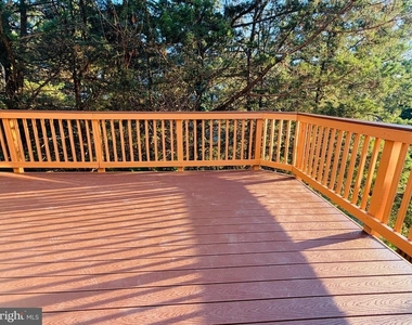 25352 Herring Creek Drive - Photo Thumbnail 43