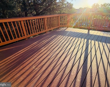 25352 Herring Creek Drive - Photo Thumbnail 41