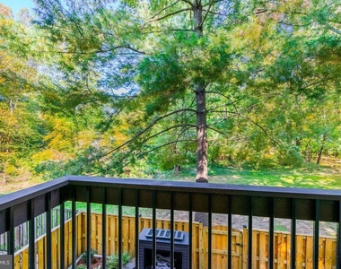 2246 White Cornus Lane - Photo Thumbnail 28