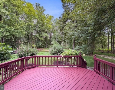 11540 Quailwood Manor Drive - Photo Thumbnail 83