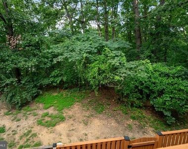 6490 Tayack Place - Photo Thumbnail 41