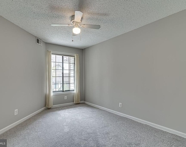 6015 Curtier Drive - Photo Thumbnail 15