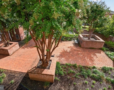 801 S Greenbrier Street - Photo Thumbnail 12