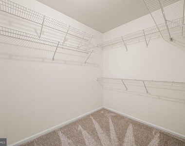 713 Whitetail Circle - Photo Thumbnail 20