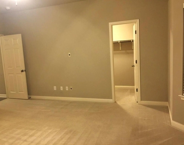 319 Serene Hollow Ln - Photo Thumbnail 11