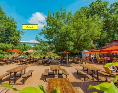 211 Lessin Ln - Photo Thumbnail 13