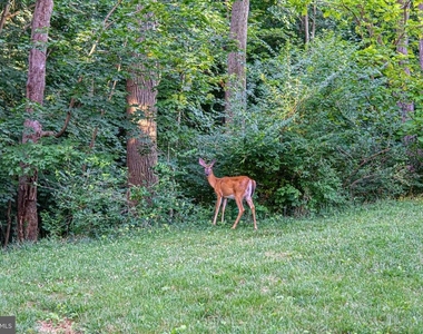 3801 Newark Street Nw - Photo Thumbnail 23