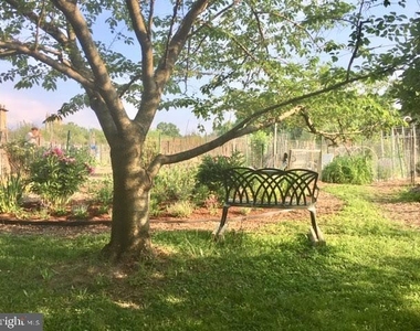 3801 Newark Street Nw - Photo Thumbnail 27