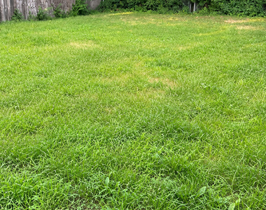 331 23rd Avenue - Photo Thumbnail 12