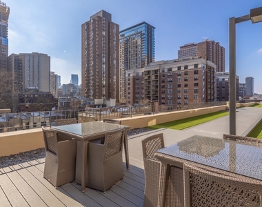 33 W Delaware Place - Photo Thumbnail 13