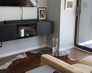 33 W Delaware Place - Photo Thumbnail 2