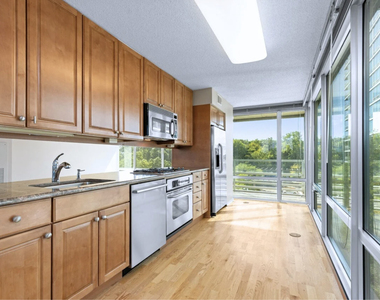 9715 Woods Drive - Photo Thumbnail 13