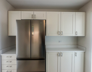 1255 N Sandburg Terrace - Photo Thumbnail 5