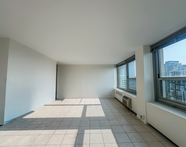 1255 N Sandburg Terrace - Photo Thumbnail 15