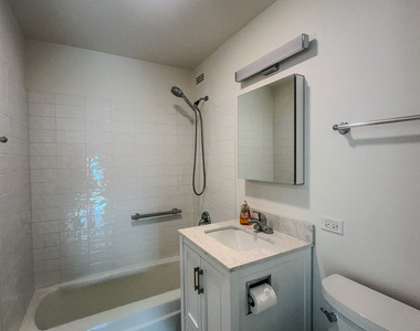 1255 N Sandburg Terrace - Photo Thumbnail 10