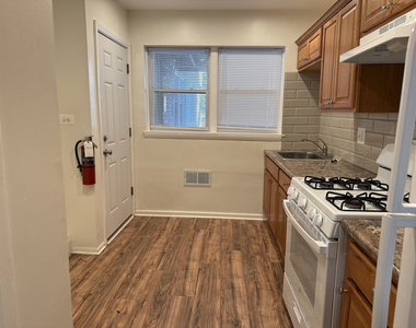 1727 W North Shore Avenue - Photo Thumbnail 6
