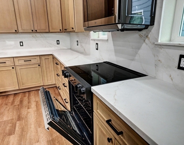 703 Carol Lynn Dr - Photo Thumbnail 10