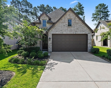 434 Soapberry Tree Court - Photo Thumbnail 29