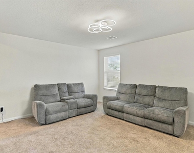 20918 Capulin Lakes Drive - Photo Thumbnail 20