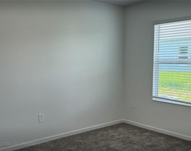 553 Sea Turtle Ln - Photo Thumbnail 3
