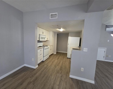 937 Washington Palm Loop - Photo Thumbnail 4