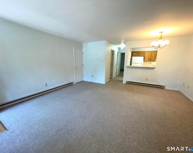 307 Willow Springs - Photo Thumbnail 5