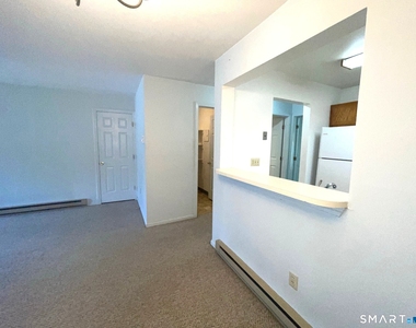 307 Willow Springs - Photo Thumbnail 4