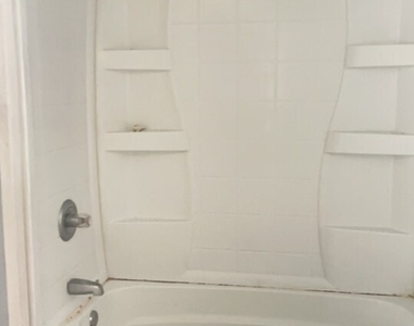 168 Curtis Street - Photo Thumbnail 6