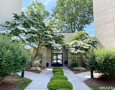 1204 Whitney Avenue - Photo Thumbnail 9