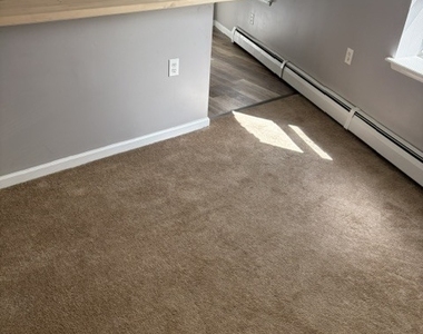 344 Washington Avenue - Photo Thumbnail 2