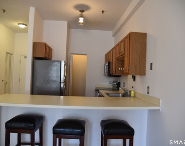 32 Haviland Street - Photo Thumbnail 5