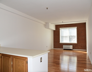 32 Haviland Street - Photo Thumbnail 4