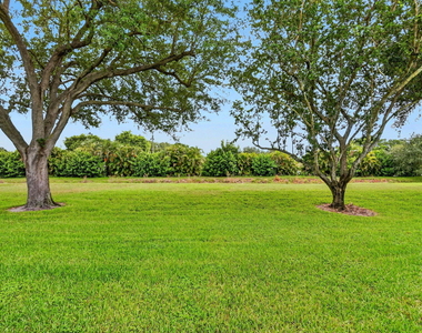 9965 Papaya Tree Trail - Photo Thumbnail 29