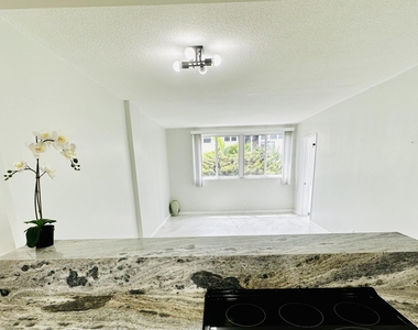 1333 E Hallandale Beach Boulevard - Photo Thumbnail 10
