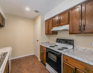 611 Lost Springs Court - Photo Thumbnail 17