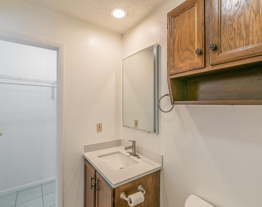 611 Lost Springs Court - Photo Thumbnail 25