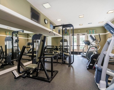 10910 Serafina Ln - Photo Thumbnail 10