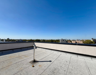 682 East 21st Street - Photo Thumbnail 11