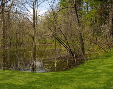 7 Eckelman Drive - Photo Thumbnail 20