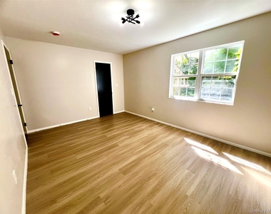 13-19 Cole Street - Photo Thumbnail 15