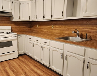 47 Thorpe Avenue - Photo Thumbnail 5