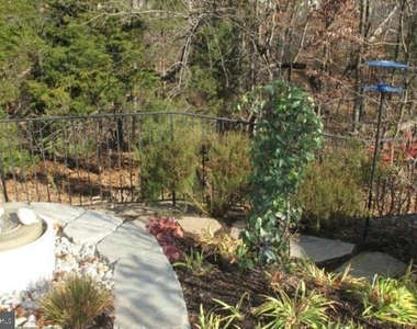 44264 Panther Ridge Drive - Photo Thumbnail 20