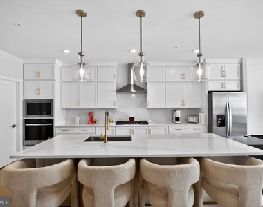 43498 Madison Springs Terrace - Photo Thumbnail 3