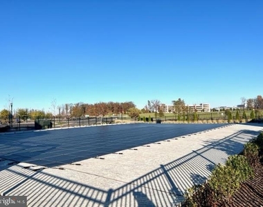 43498 Madison Springs Terrace - Photo Thumbnail 28