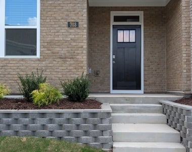 703 Grafton Frst Lane - Photo Thumbnail 2