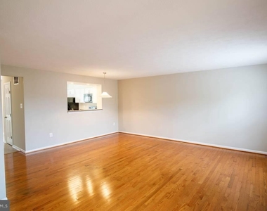 344 Honey Locust Court - Photo Thumbnail 7