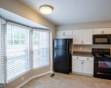 344 Honey Locust Court - Photo Thumbnail 3